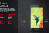 Blackberry Leap